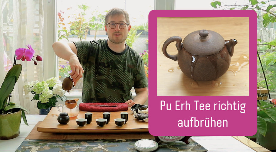 Pu Erh Tee richtig aufbrühen...