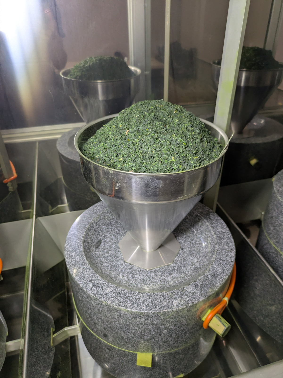Matcha Ujihikari